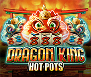 Dragon King Hot Pots